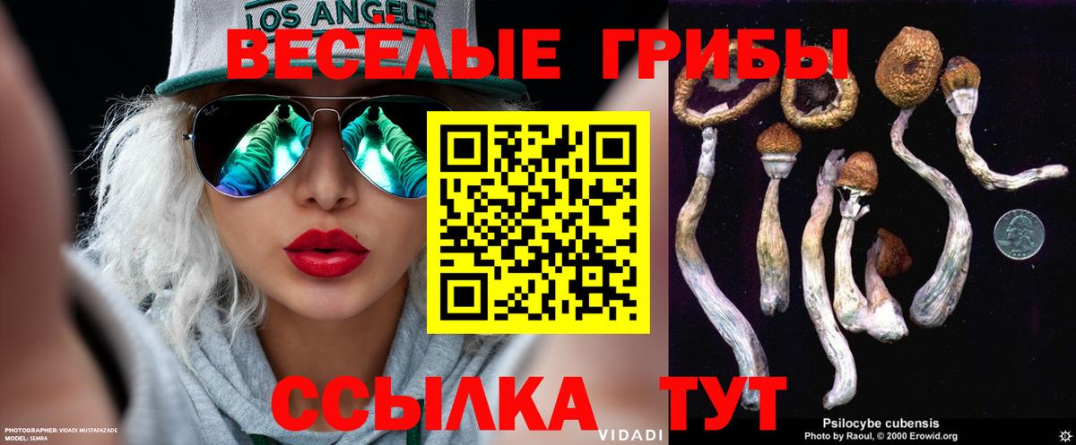 Галлюциногенные грибы Psilocybe  Псилоцибиновые грибы ЛСД  Вход с VPN  Алексеевка 